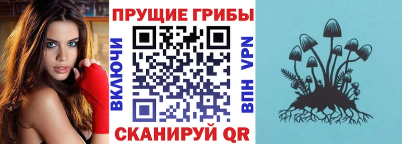 хочу   Нижняя Салда  Галлюциногенные грибы Magic Shrooms 